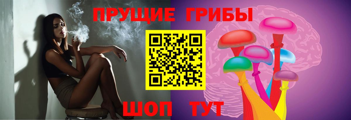 Галлюциногенные грибы MAGIC MUSHROOMS Гурьевск